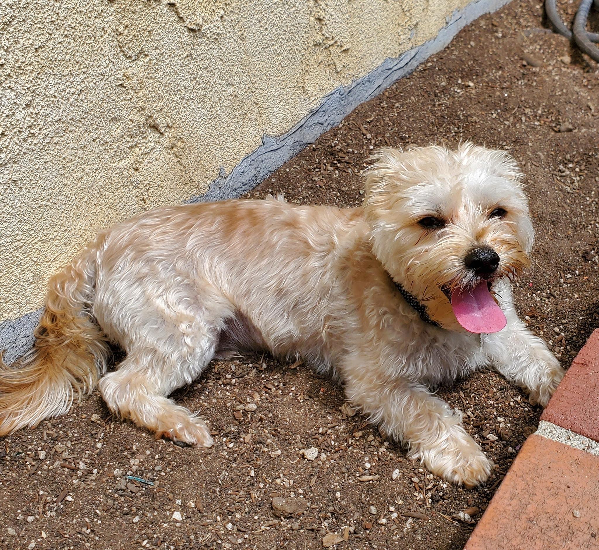 blue_collar_adjournm