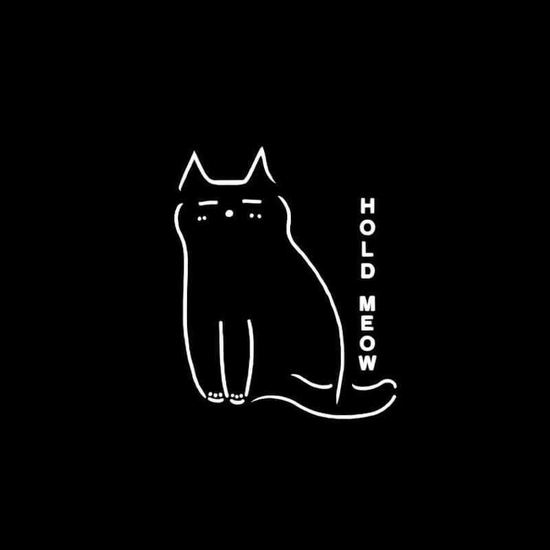 HOLD MEOW