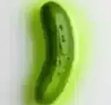 Agent Pickle
